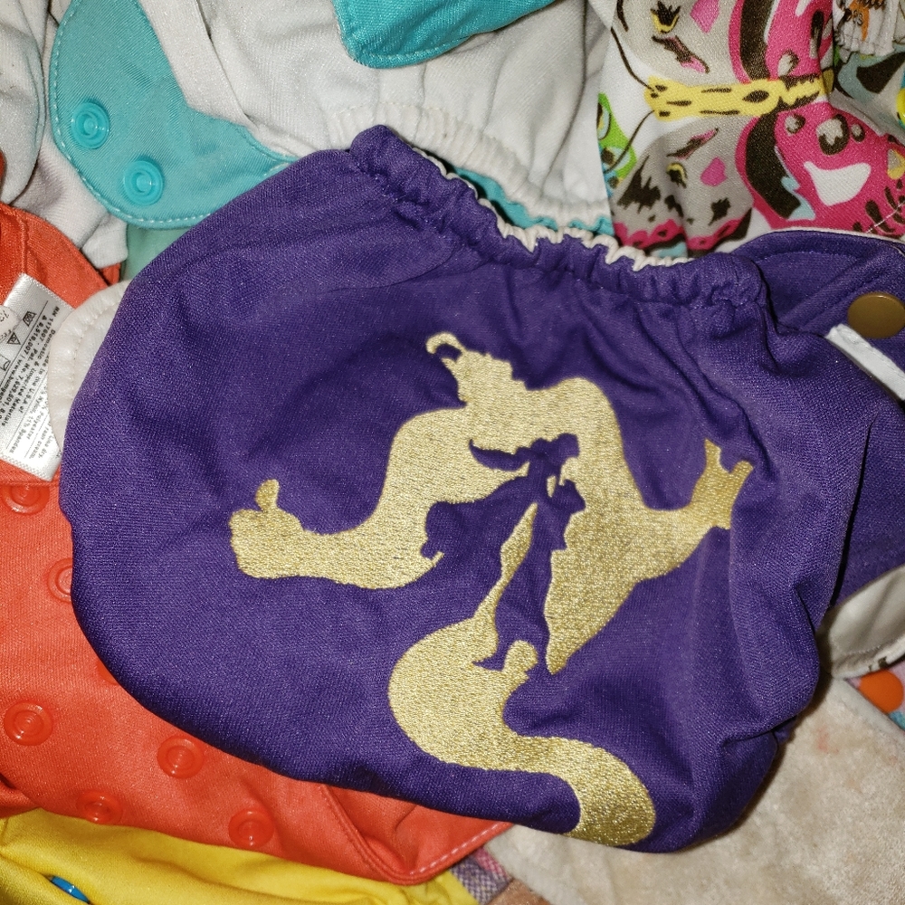 Cloth diapers little butt diaper